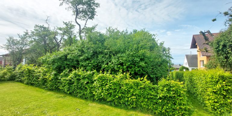 Rückansicht