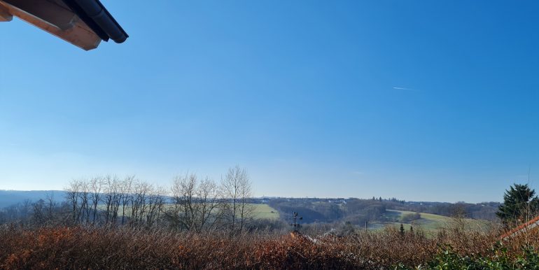 Fernblick