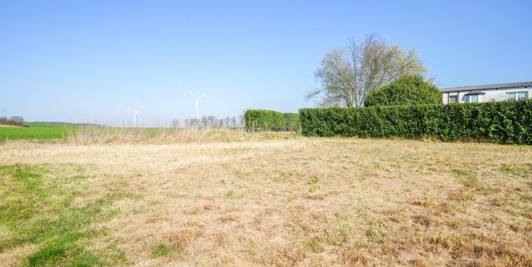 Gartenfläche