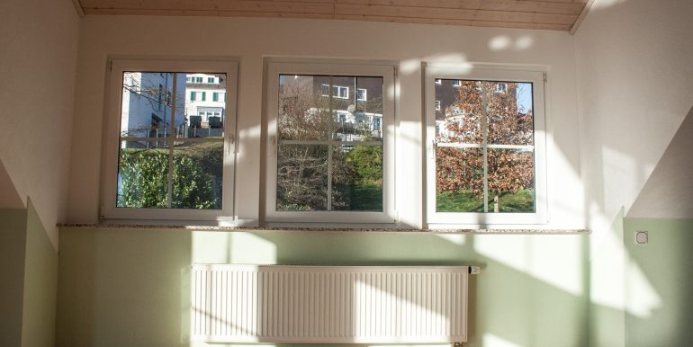 Blick in den Garten