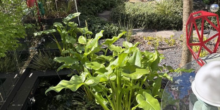 Gartenteich mit angrenzender Terrasse