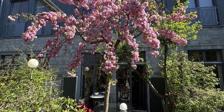 Gartenansicht