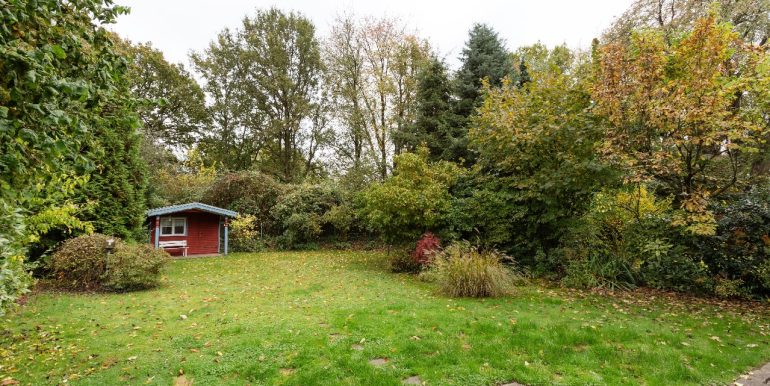 Blick in den Garten