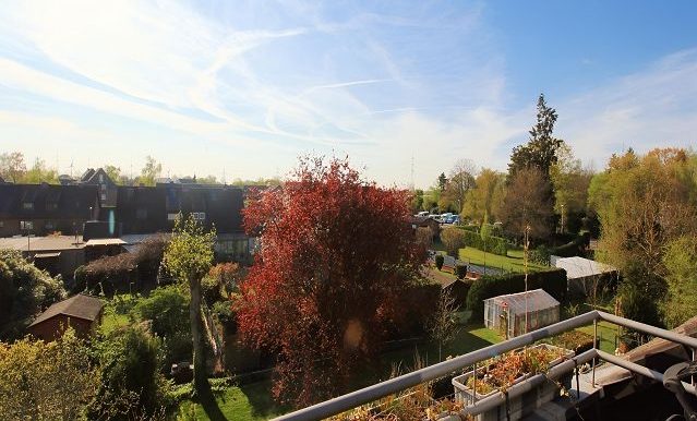 Blick vom Balkon