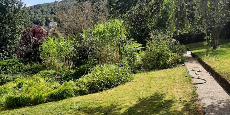 Garten im Sommer