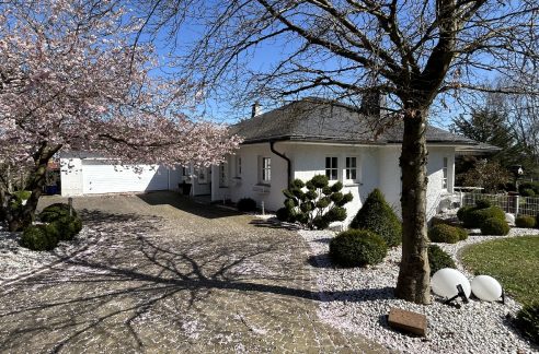 Ansicht Eingang und Garage