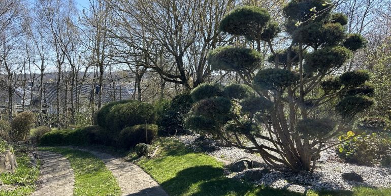 Zufahrt Garten
