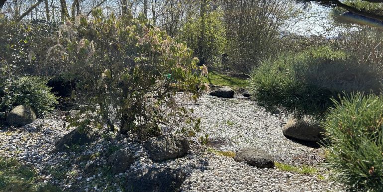 Gartenteich
