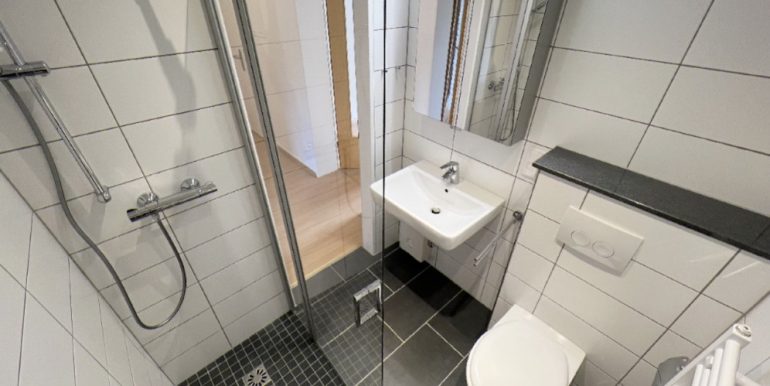 Modernes Tageslichtbad (erneuert 2024)