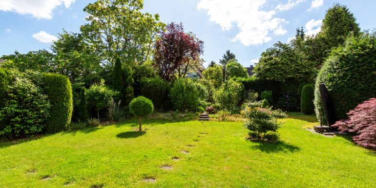 Blick in den Garten