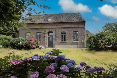 Außenansicht / Garten