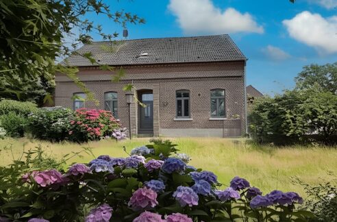 Außenansicht / Garten