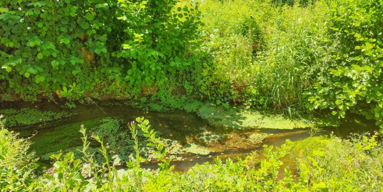 Bachlauf