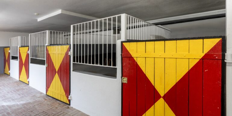 Pferdestallungen im Gebäude