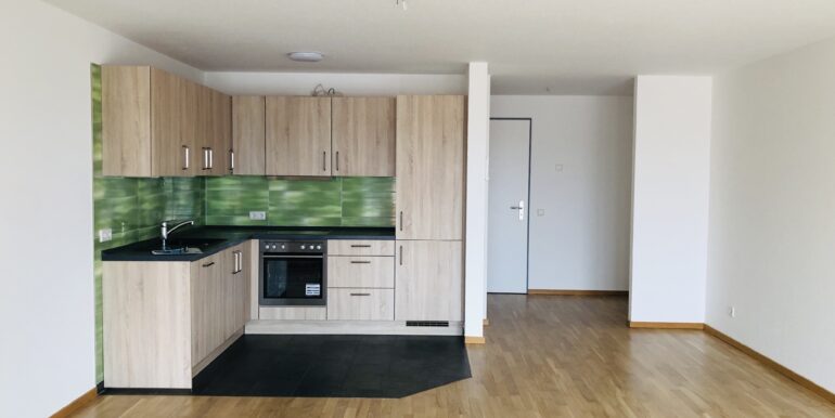 Wohnbereich / Küchenbereich