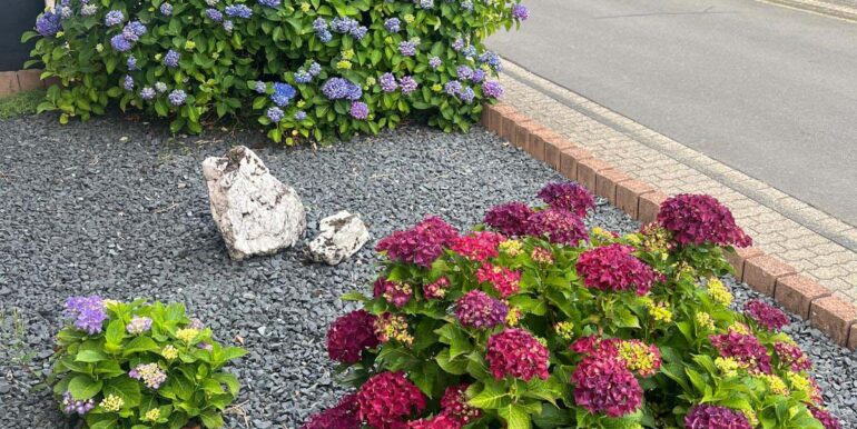 pflegeleichter Vorgarten