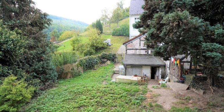 Blick in den Hausgarten