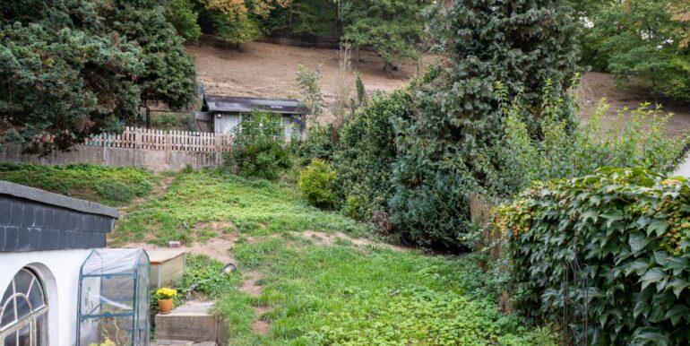 Die angrenzende Weidefläche