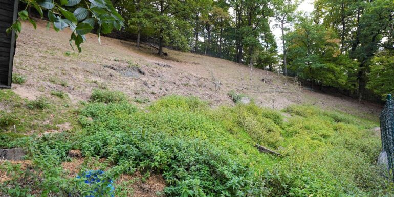 Die angrenzende Weidefläche