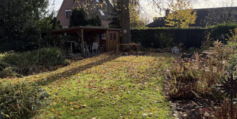 Alter Baumbestand im Garten