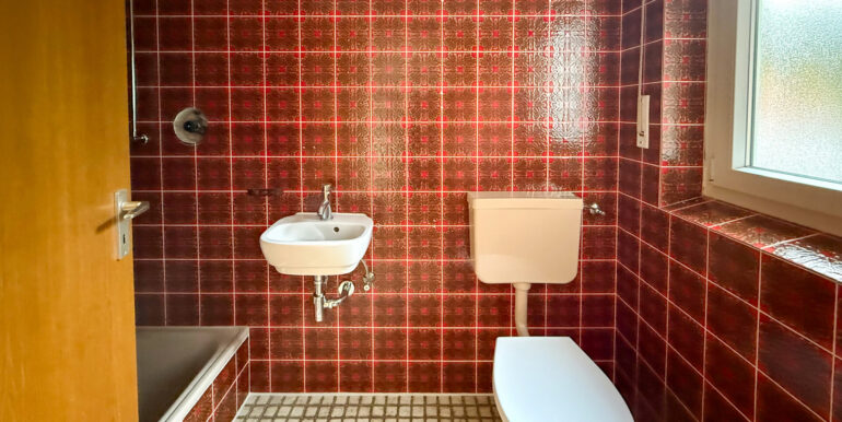 Tageslicht Gäste-Duschbad