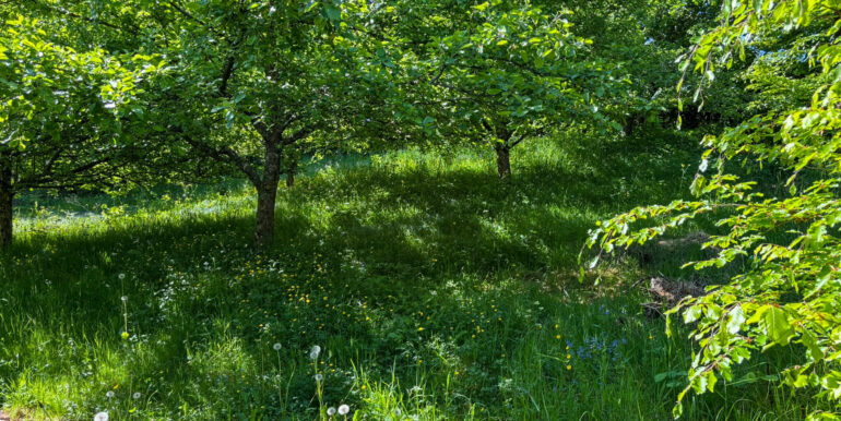 separates Gartengrundstück