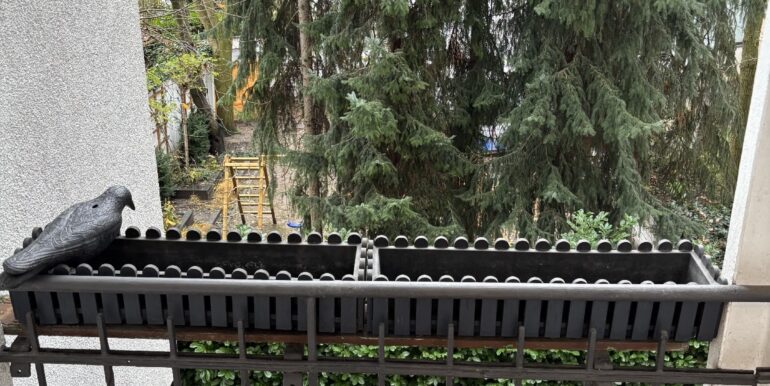 Balkon zur Rückseite