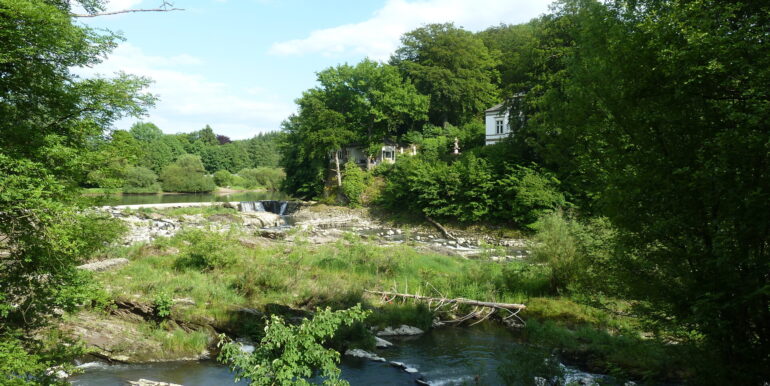 Umgebung: Wasserfall Schladern