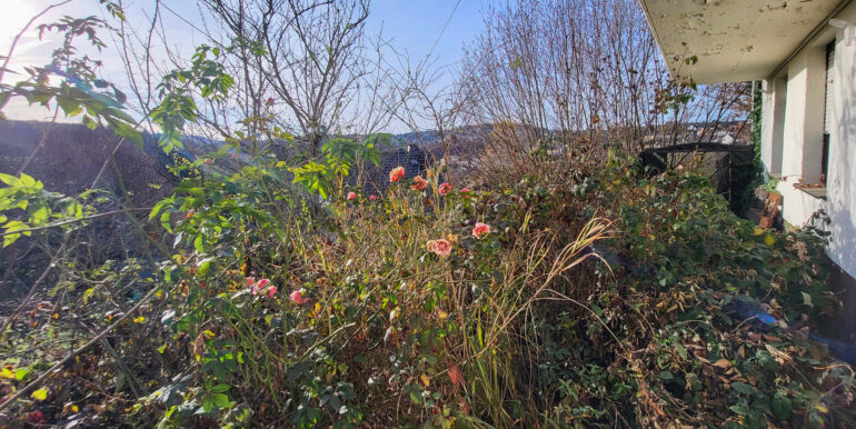 Blick vom Keller zum Garten