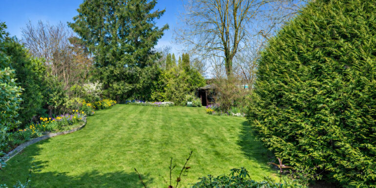 KI generierter Rasen