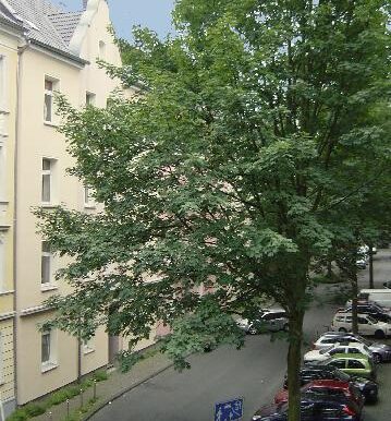 Sicht aus dem Fenster