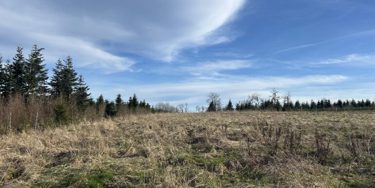 Unverbaubare Naturlage