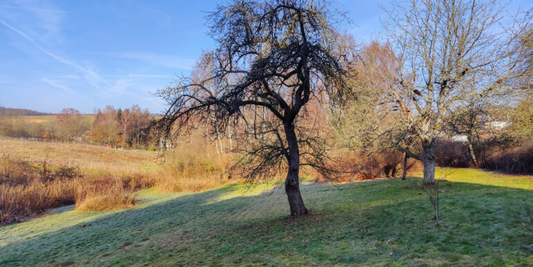 Grundstück
