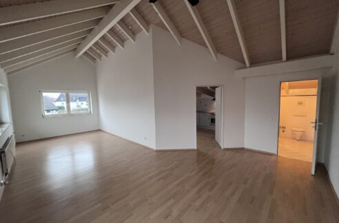 Wohn-/ Esszimmer