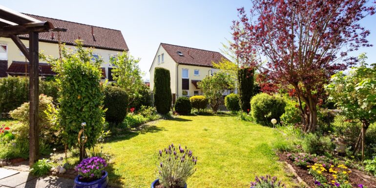 Blick in den Garten