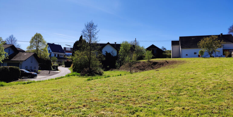 Grünfläche